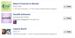 Cara Membuat Halaman Suka di Facebook 9