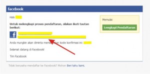 Cara Mendaftar Facebook 6
