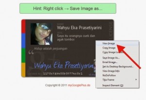 Cara Buat Kartu Tanda Google Plus 3