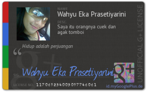 Cara Buat Kartu Tanda Google Plus 6