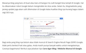Cara Pasang Alt Tag pada Gambar Postingan WordPress 3