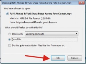 Cara Download Video Youtube Tanpa Software 4