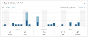 contoh statistik traffic Dashboard WordPress