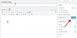 Panduan Cara Buat Halaman Statis Page di Blog WordPress