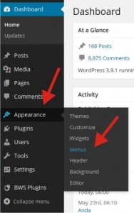 Cara Membuat Menu Drop Down di Blog WordPress