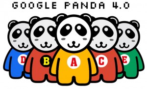 Info buat para blogger Google telah melepas Panda 4.0