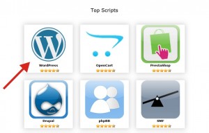 Cara Membuat Website Sendiri di Hp Android Gratis