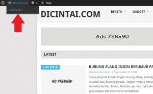 Cara Jitu Mendapatkan Uang dari Menulis Artikel di Website Internet
