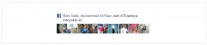 Facebook Facepile