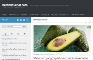 Hueman Theme Profesional untuk Website WordPress