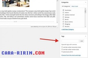 Bikin Tag WordPress SEO Google
