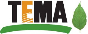 tema blog