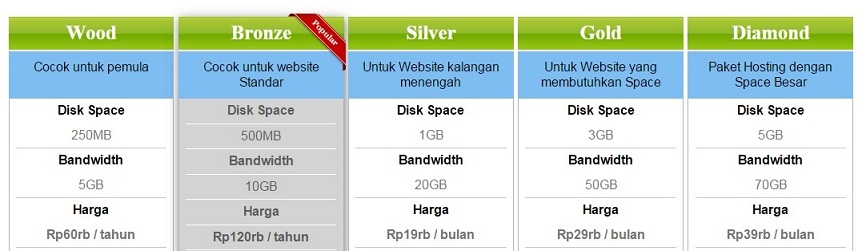 ssd hosting murah