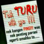 DP BBM Tak Turu Sik Yo